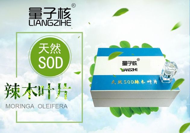 天然SOD辣木叶片6粒