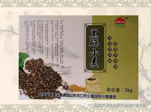 航天富硒黑小麦